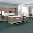 CRAZY-SMART-54841-SWANKY-00400-room-image