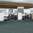 CRAZY-SMART-54841-SWANKY-00400-room-image