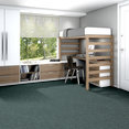 CRAZY-SMART-54841-SWANKY-00400-room-image