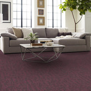 CRAZY-SMART-54841-HOTSHOT-00910-room-image