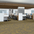 PURE-ATTITUDE-54842-RADIANT-00210-room-image