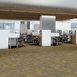 PURE-ATTITUDE-54842-RADIANT-00210-room-image