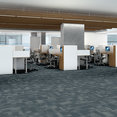 PURE-ATTITUDE-54842-INTENSE-00405-room-image