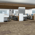 PURE-ATTITUDE-54842-INGENIOUS-00705-room-image