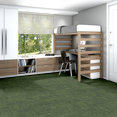 RAW-BEAUTY-54843-WITTY-00310-room-image