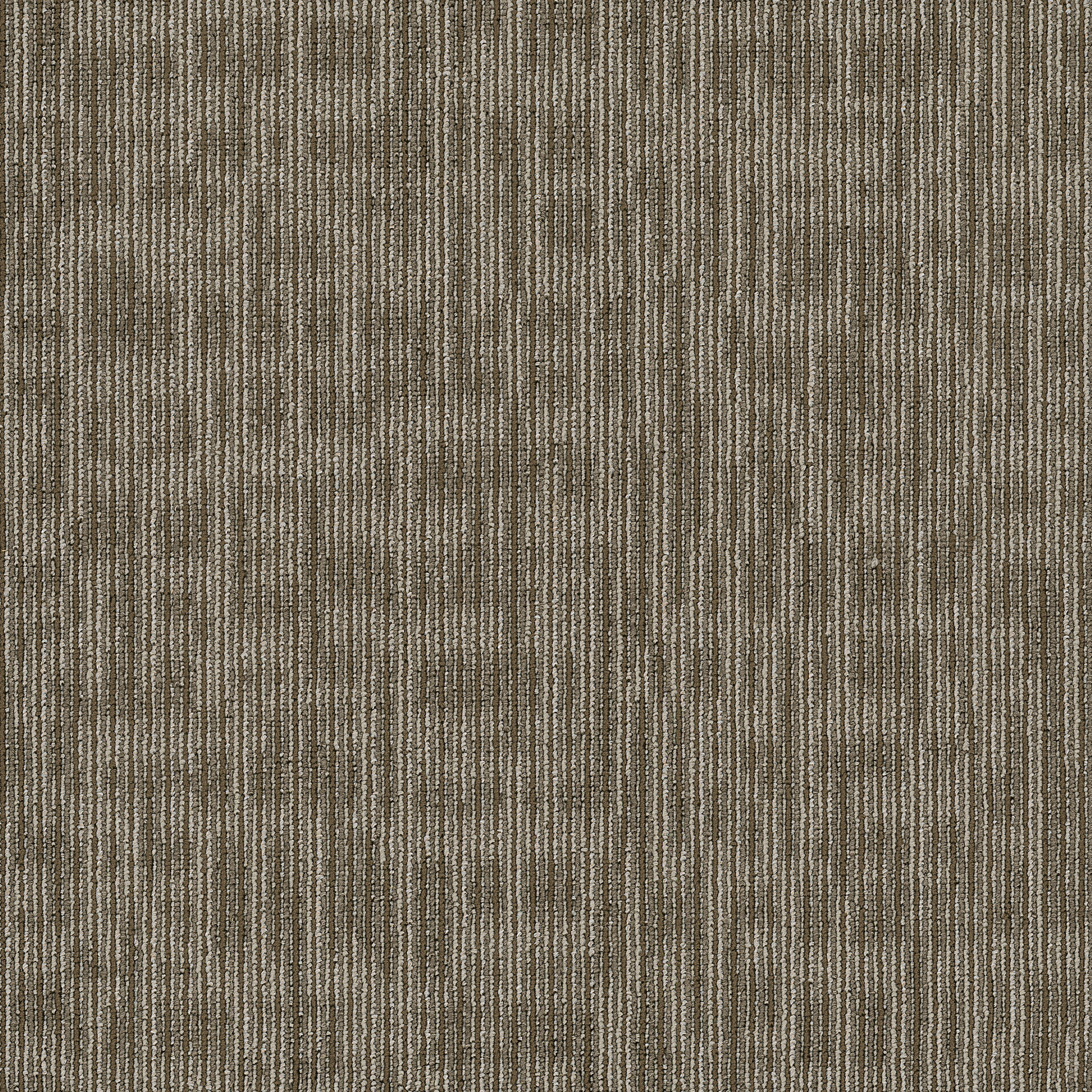 Genius-Scholarly-54844_44705