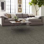 GENIUS-54844-SMARTS-44710-room-image