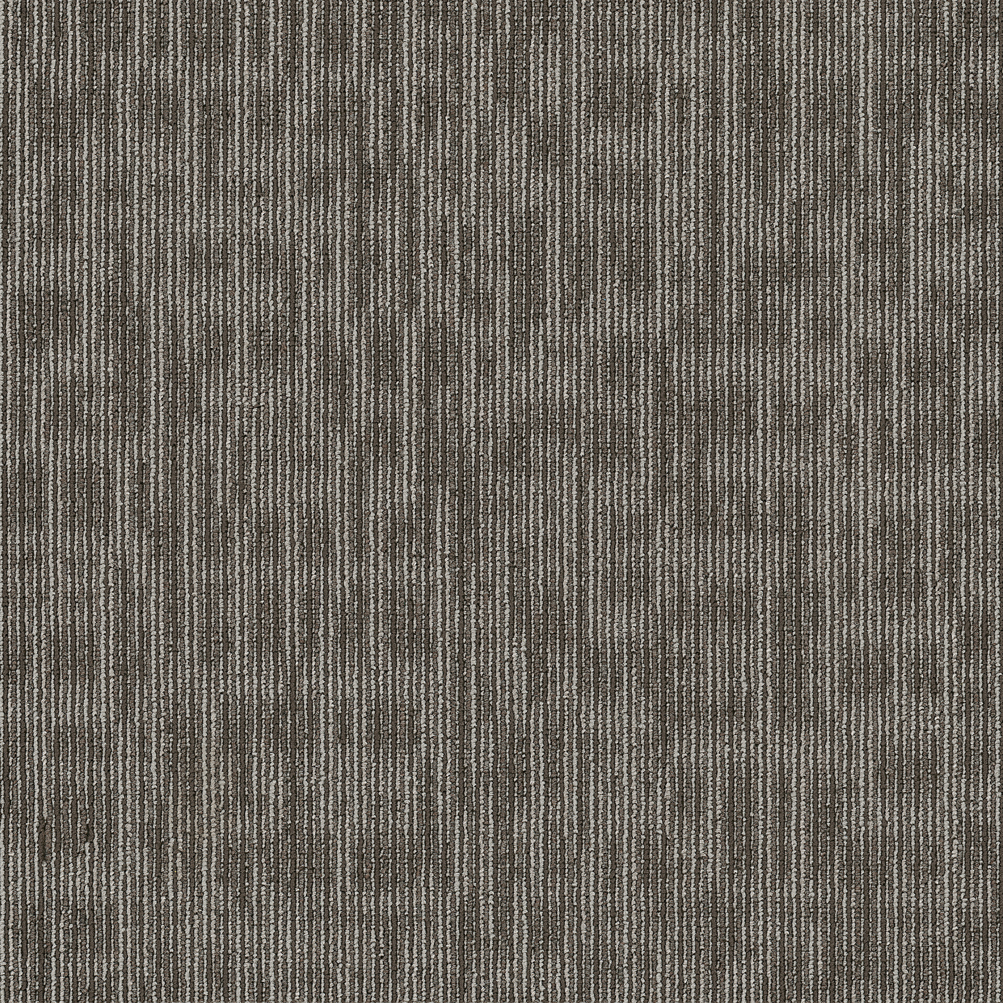 Genius-Smarts-54844_44710