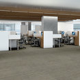 INTELLECT-54845-BRILLIANT-45100-room-image