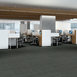 INTELLECT-54845-SHARP-45515-room-image