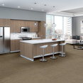 INTELLECT-54845-SCHOLARLY-45705-room-image