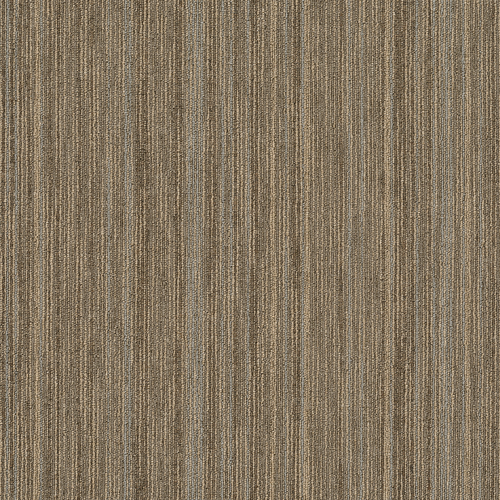 Intellect - Scholarly - 54845_45705