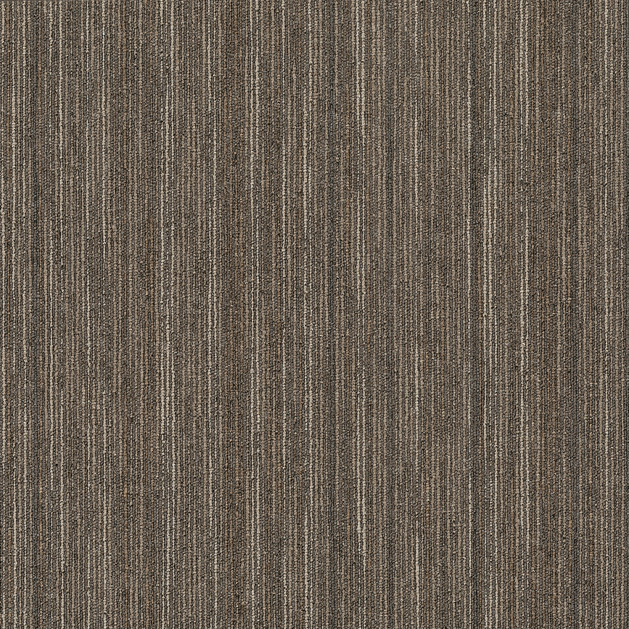 Intellect-Smarts-54845_45710