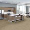 BASIN-54847-DUNES-00214-room-image