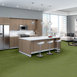 BASIN-54847-TAIGA-00315-room-image