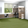 BASIN-54847-TAIGA-00315-room-image