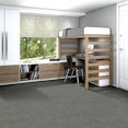 BASIN-54847-LAVAFIELD-00540-room-image