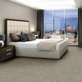 BASIN-54847-PINGO-00702-room-image