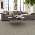 BASIN-54847-PINGO-00702-room-image