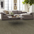 BASIN-54847-SALT-FLAT-00710-room-image