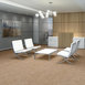 BASIN-54847-MESA-00801-room-image