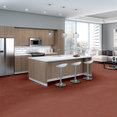BASIN-54847-MIOMBO-00816-room-image
