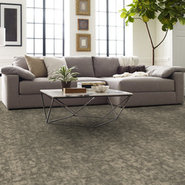 ARID-54848-BUTTE-00200-room-image