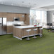 ARID-54848-TAIGA-00315-room-image