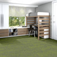 ARID-54848-TAIGA-00315-room-image