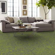 ARID-54848-TAIGA-00315-room-image