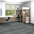 ARID-54848-ARCHIPELAGO-00408-room-image