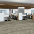 ARID-54848-SUMMIT-00500-room-image