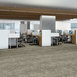 ARID-54848-SUMMIT-00500-room-image