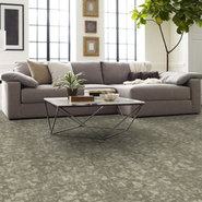 ARID-54848-SUMMIT-00500-room-image