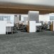 ARID-54848-GLACIER-00510-room-image