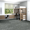 ARID-54848-GLACIER-00510-room-image