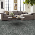 ARID-54848-GLACIER-00510-room-image