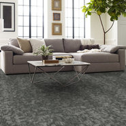 ARID-54848-LAVAFIELD-00540-room-image
