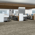 ARID-54848-PINGO-00702-room-image