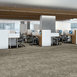 ARID-54848-PINGO-00702-room-image