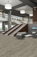 ARID-54848-PINGO-00702-room-image