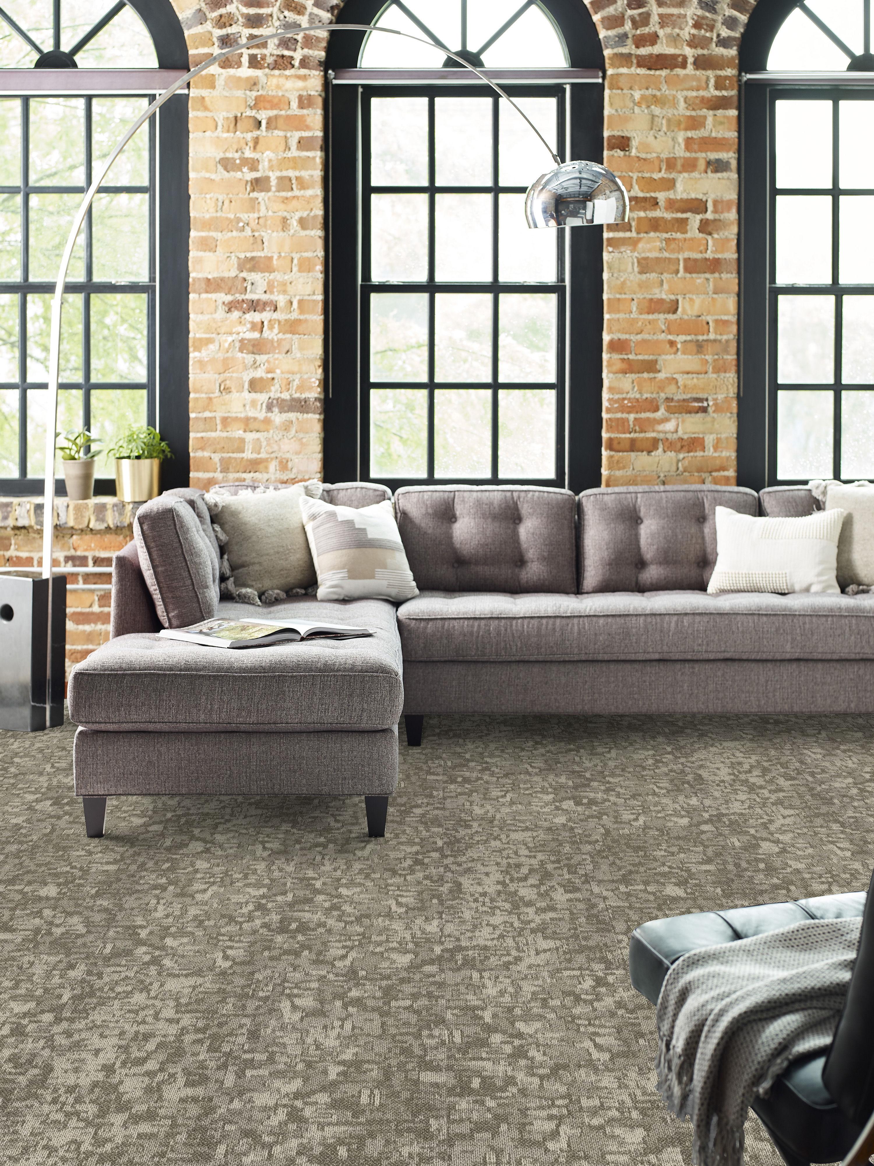 Arid - Pingo - 54848_00702