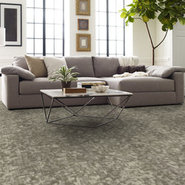 ARID-54848-PINGO-00702-room-image