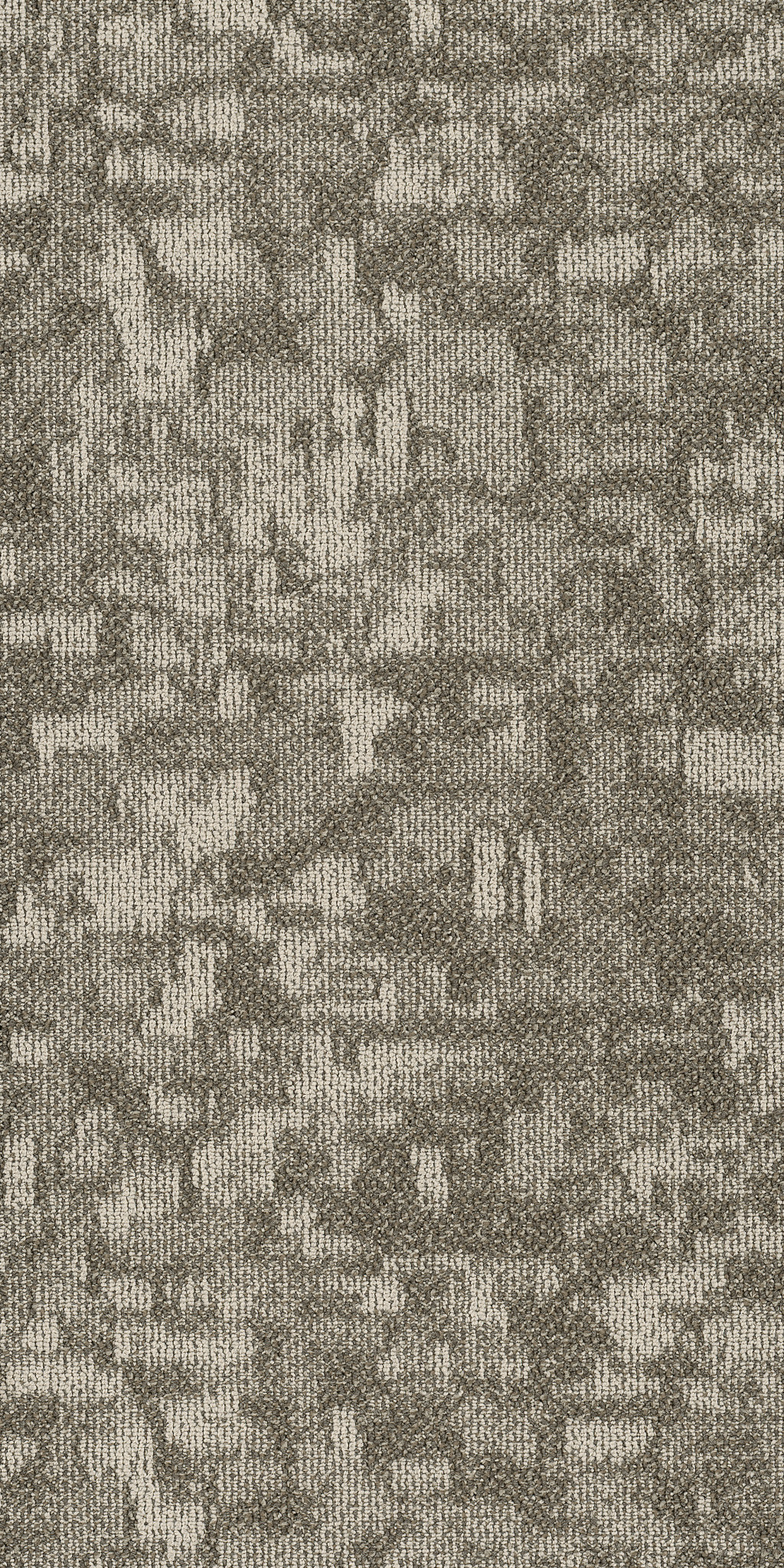 Arid-Pingo-54848_00702