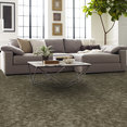 ARID-54848-SALT-FLAT-00710-room-image