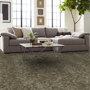 ARID-54848-SALT-FLAT-00710-room-image