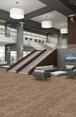 ARID-54848-MESA-00801-room-image