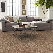 ARID-54848-MESA-00801-room-image