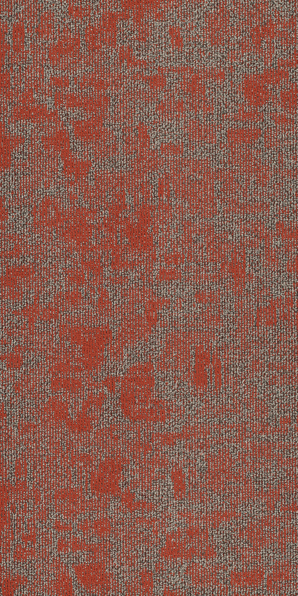 Arid-Miombo-54848_00816