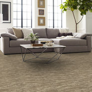 TIDEWATER-54849-DUNES-00214-room-image